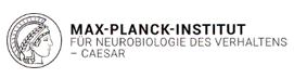 Max-Planck-Institut für Neurobiologie des Verhaltens — caesar
